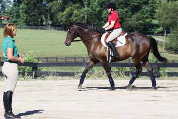 Is your Instructor qualified and insured? - Equisafety