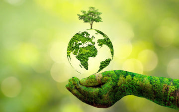 KEP~ Passionate about protecting the environment. - Equisafety