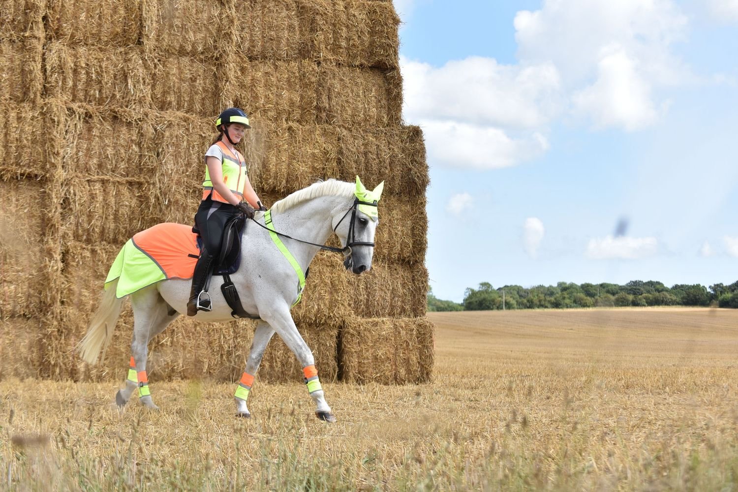equestrian hi viz vest- Young Horse XXL