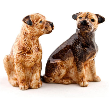 Border Terrier salt and pepper pots - Equisafety