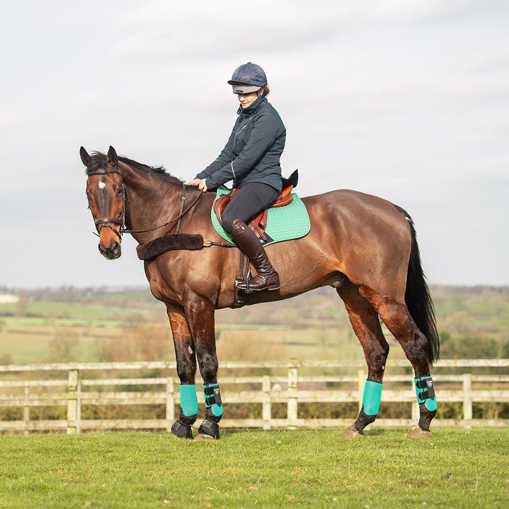 Champion Junior X - Air Plus - Riding Hat - Silver - Equisafety