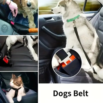 Dog Seat Belt - Equisafety
