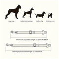 Dog Seat Belt - Equisafety