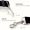 Dog Seat Belt - Equisafety