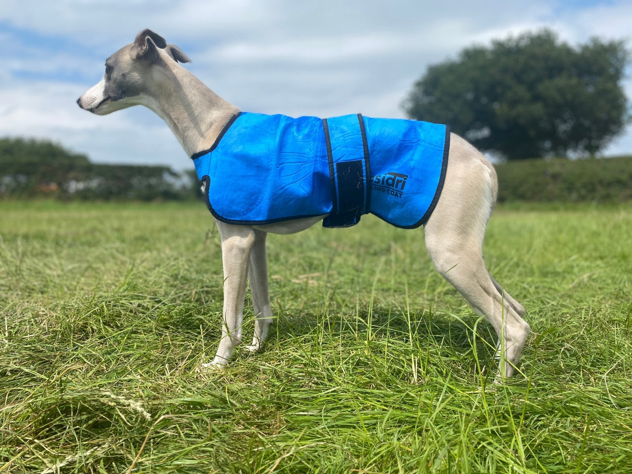 EASIDRI COOLING COAT
