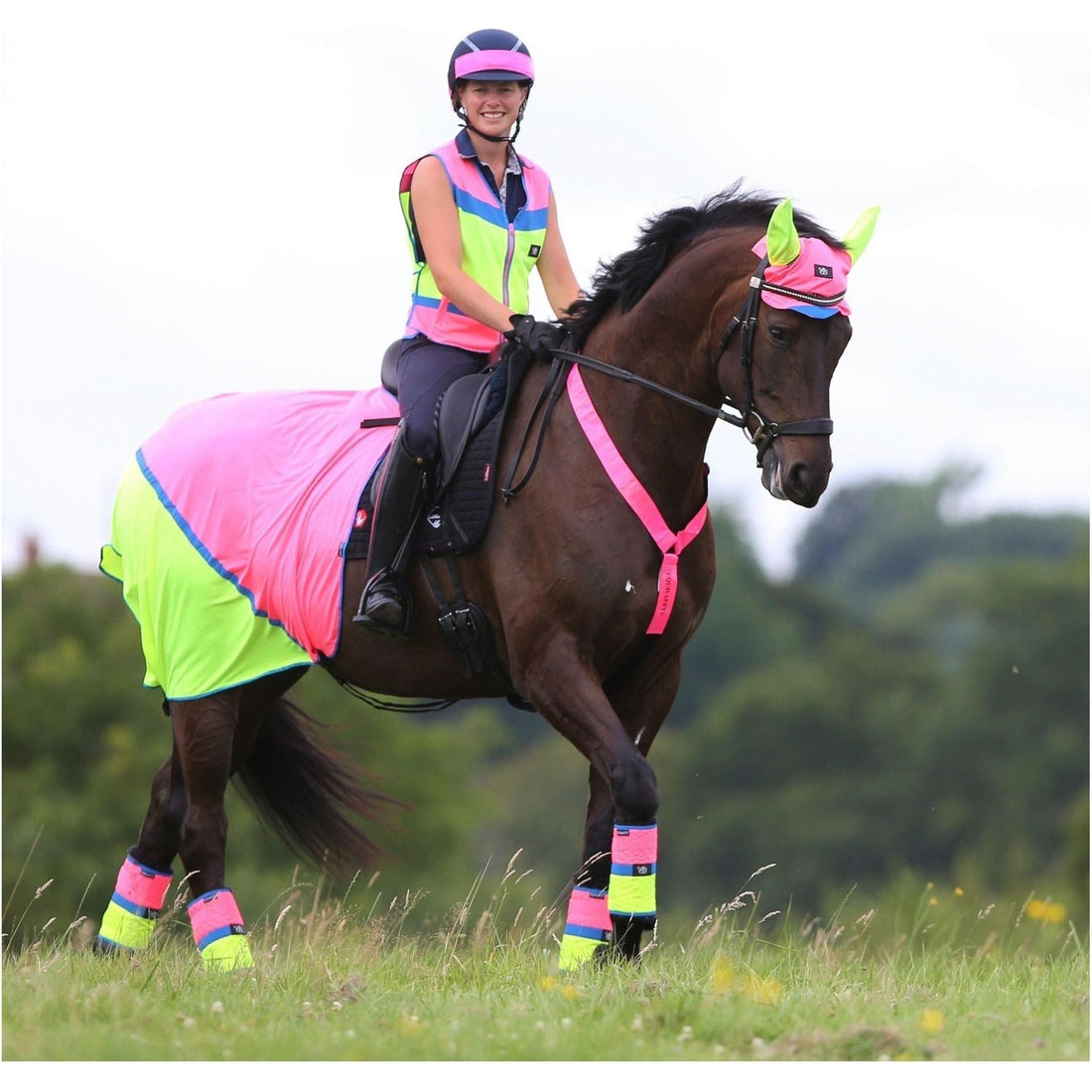 Equisafety Multi Coloured Mesh Fly Sheet. Pink/Yellow - Equisafety