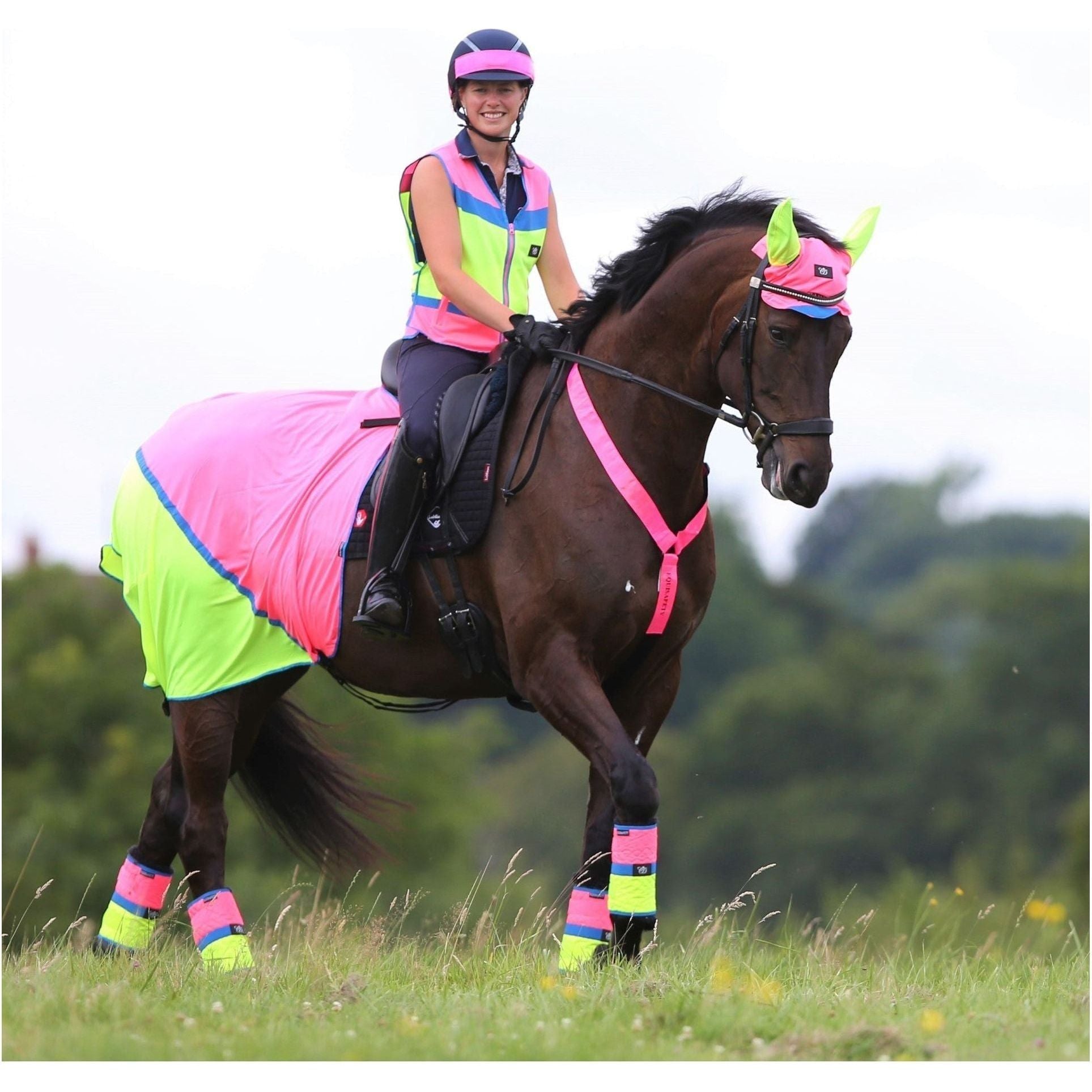 Equisafety Multi Coloured Mesh Fly Sheet. Pink/Yellow - Equisafety