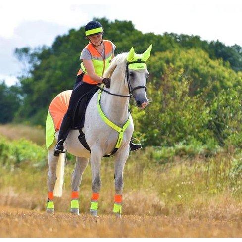 Equisafety Multi Coloured Mesh Fly Sheet. Yellow/Orange - Equisafety