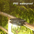Equisafety Solar Powered LED Outdoor Light - AVAILABLE FROM MID NOVEMBER. - Equisafety