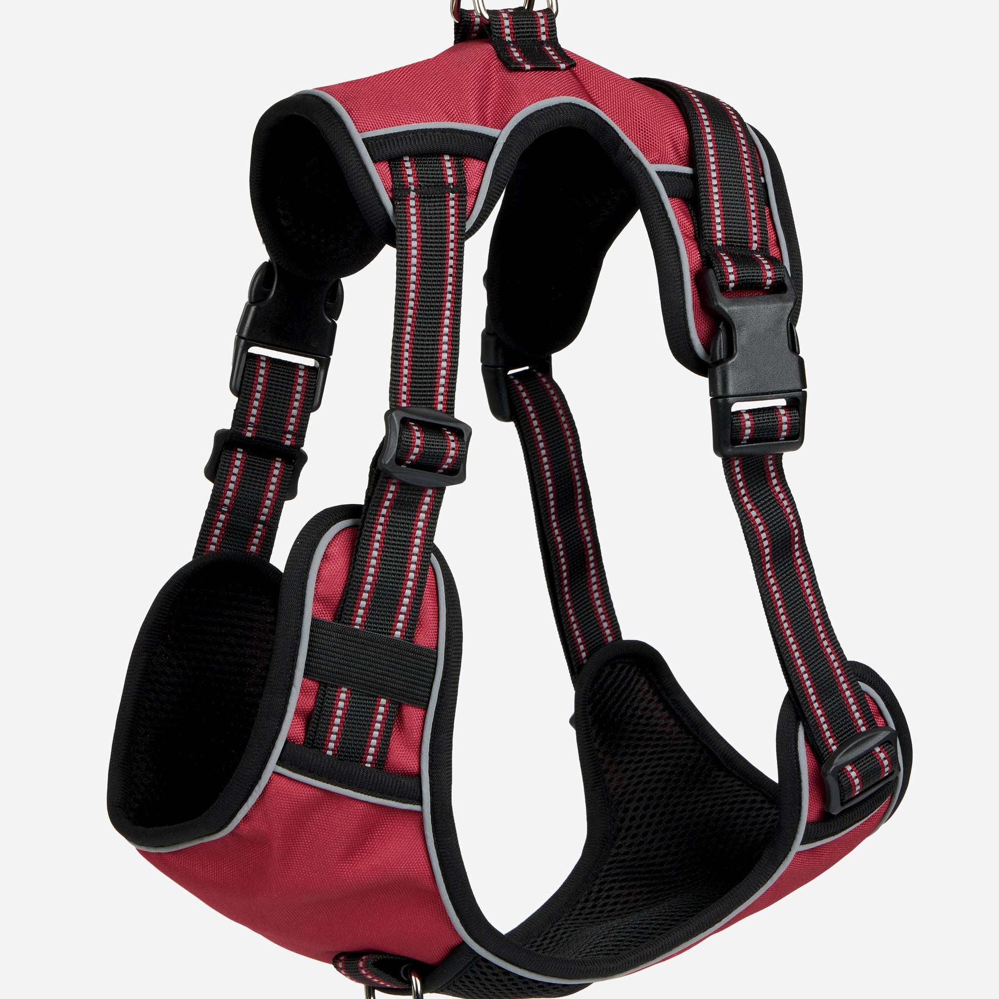 Le Mieux Winchester Dog Harness Bluebell Burgundy