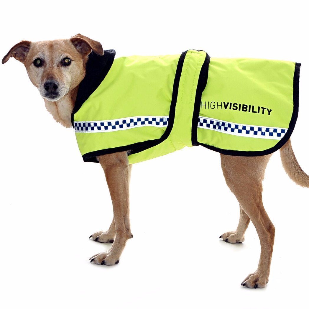 Equisafety Hi vis waterproof dog jacket - POLITE