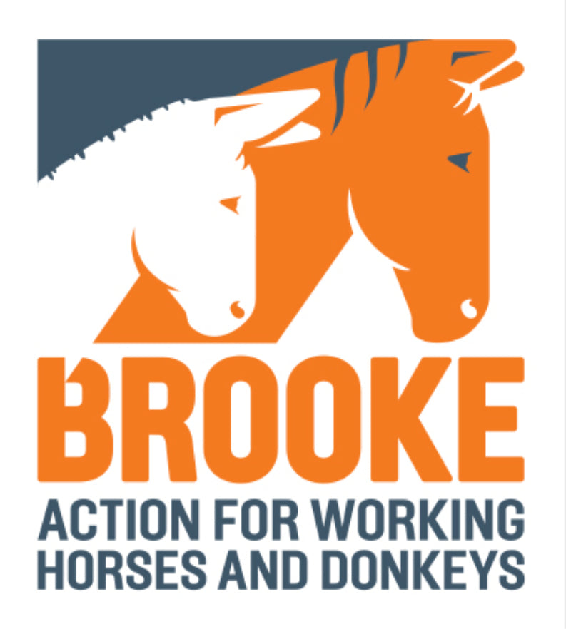 EQUISAFETY is proud to support Brooke's MYHACKATHON