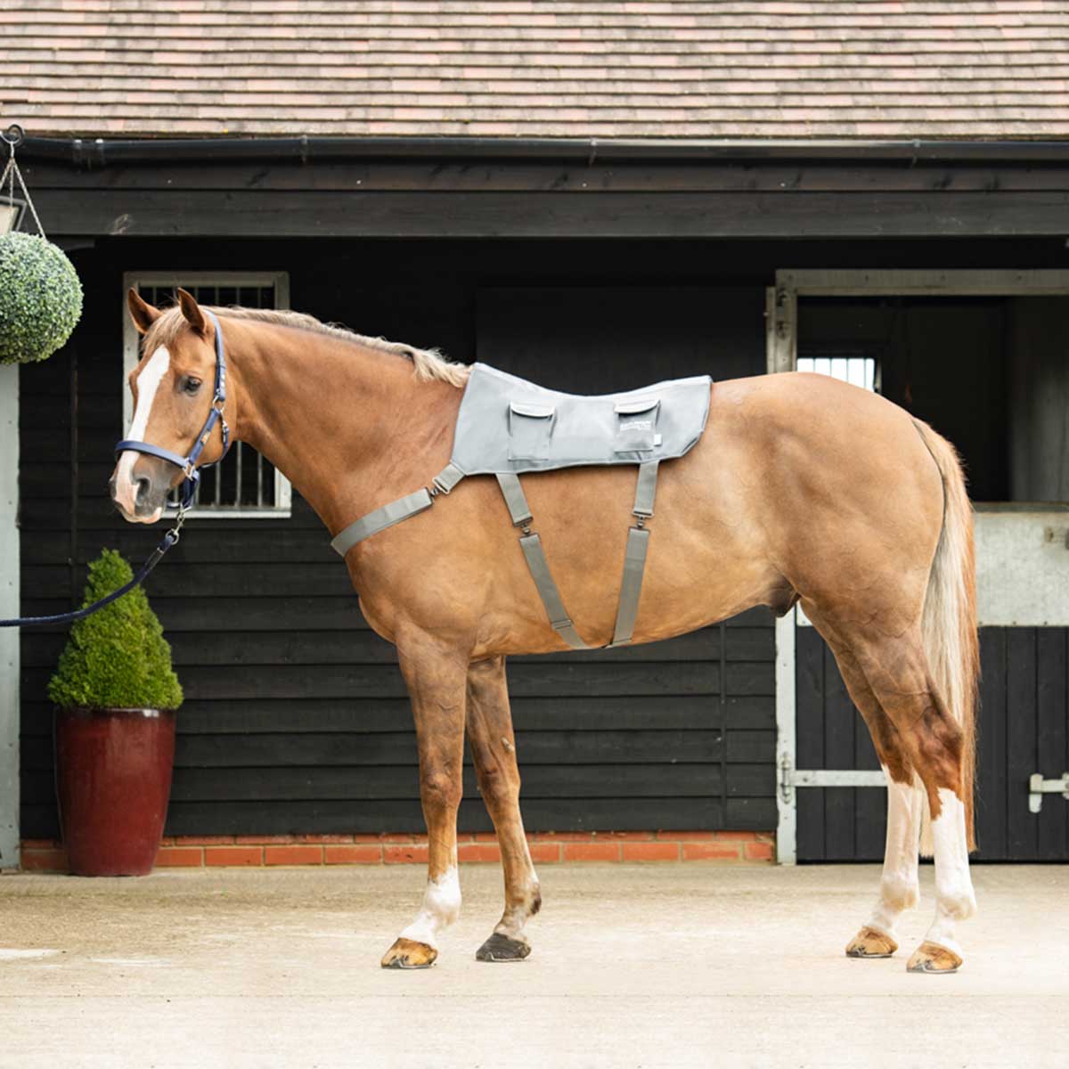 Why the Equilibrium massage products are really good for your horse.