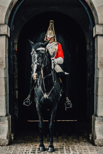 Essential Equestrian Safety Practices You Need to Know - Equisafety