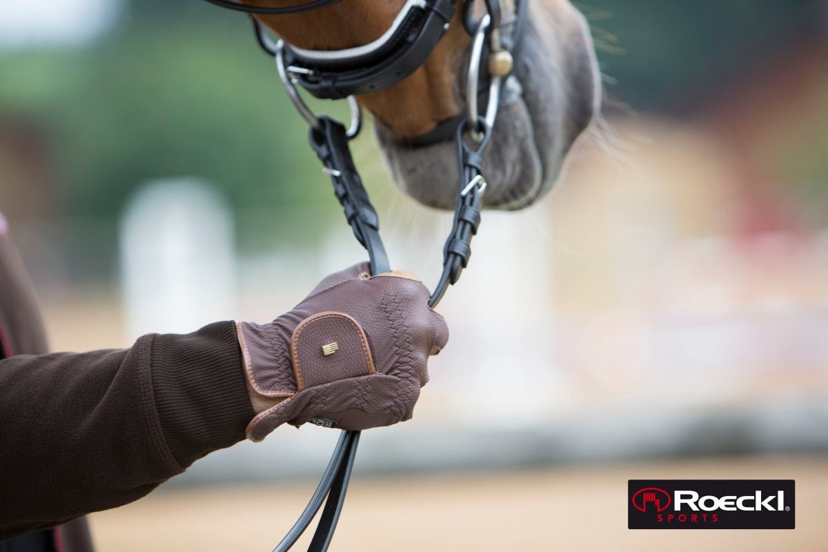 Hold your horses with uvex gloves - Equisafety