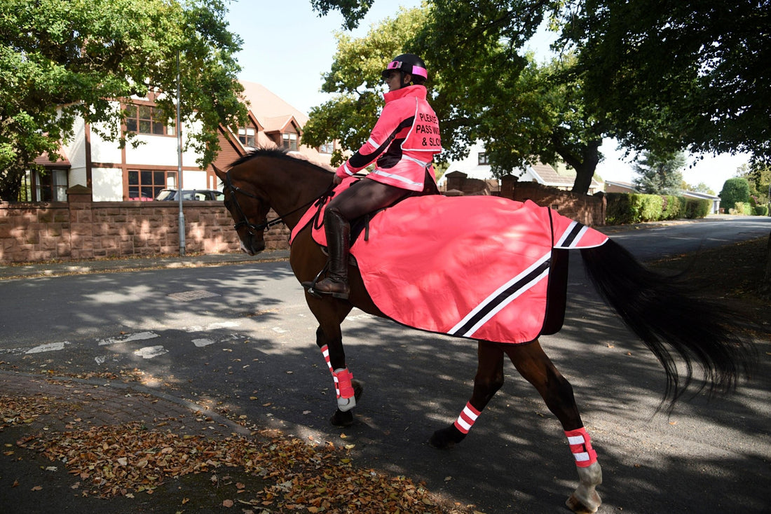 Horse Riding Accident Compensation Claims - Equisafety