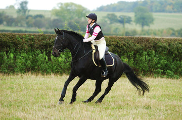 Why Do Horses Spook In The Wind? - Equisafety