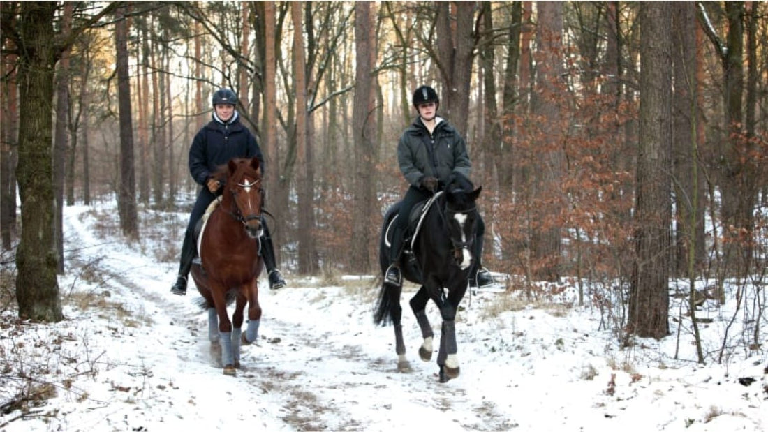 Why is hacking so important in Winter months? - Equisafety