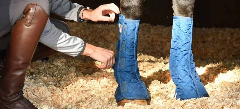 Stable Boots