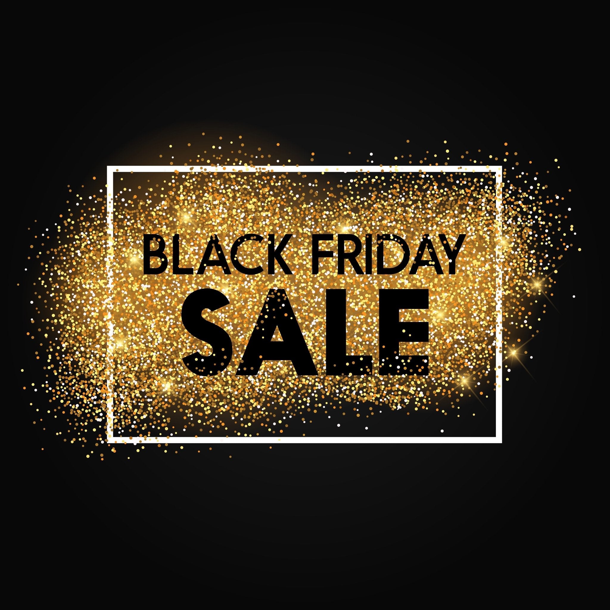 BLACK FRIDAY SALE - Equisafety