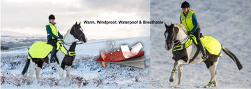 Hi vis horse sheets - Equisafety
