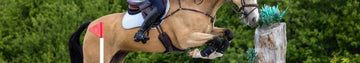 Horse Riding Safety Stirrups - Equisafety