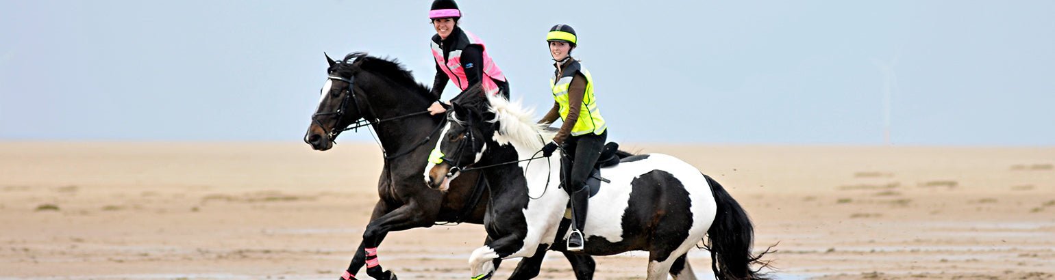 Horse Rugs and Accessories - Equisafety