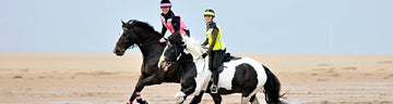 Horse Rugs and Accessories - Equisafety