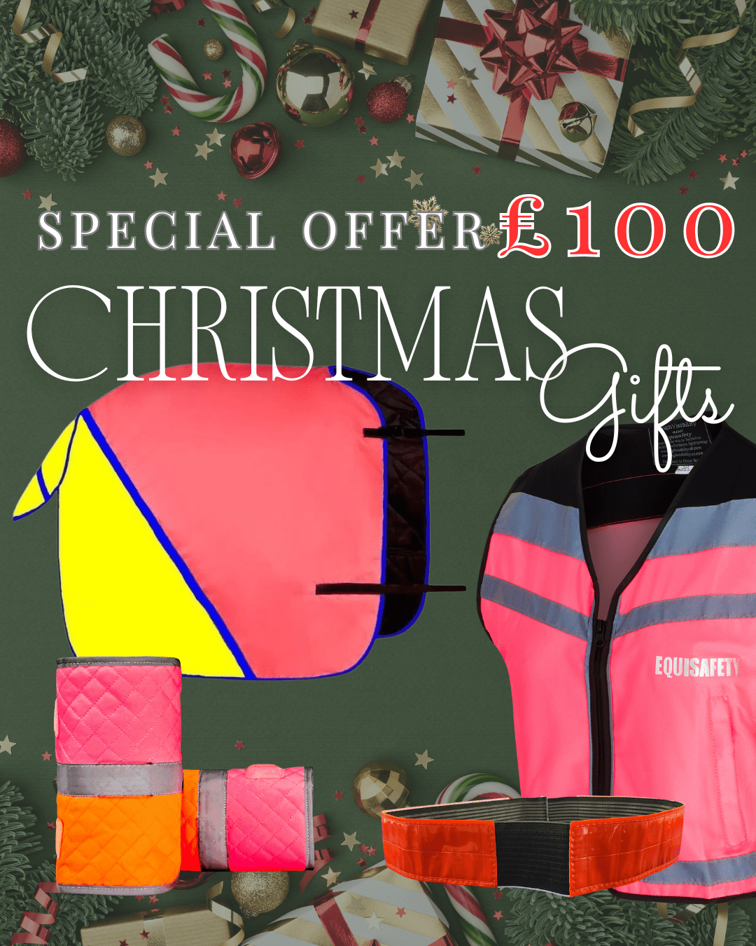 £100 Christmas Bundle - Equisafety