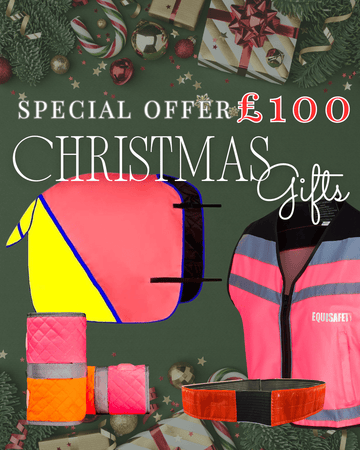 £100 Christmas Bundle - Equisafety