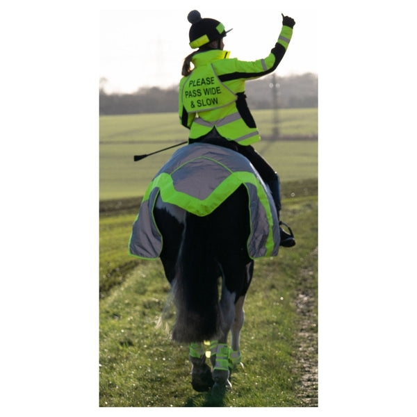 Equisafety Reflective Mercury Horse Exercise Rug - Yellow