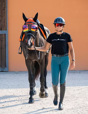 eQuick eVysor Horse Mask - Horse Comfort - Mirrored Rainbow - Equisafety