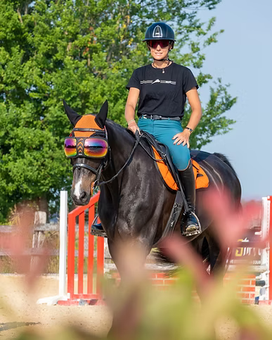 eQuick eVysor Horse Mask - Horse Comfort - Mirrored Green - Equisafety