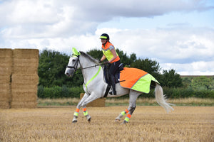Equisafety Multi Coloured Waterproof Hi Viz Horse Sheet - Pink/yellow