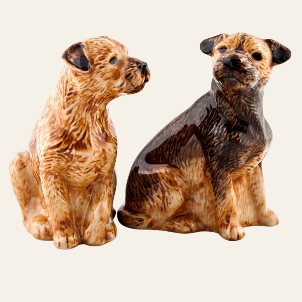 Border Terrier salt and pepper pots - Equisafety