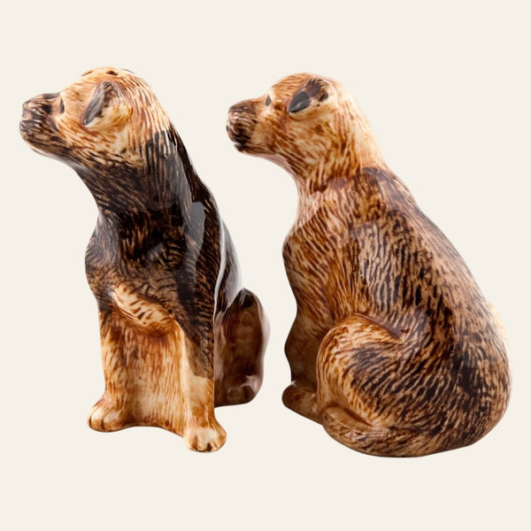 Border Terrier salt and pepper pots - Equisafety