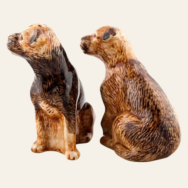 Border Terrier salt and pepper pots - Equisafety