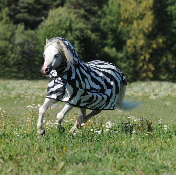 Bucas Buzz Off Fly Rug - Horse - Zebra Print - Equisafety