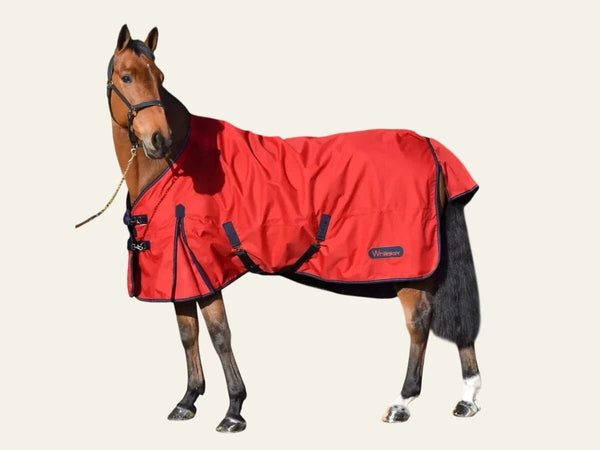 Bucas Buzz Off X Full Neck Fly Sheet - 6FT ONLY - Equisafety