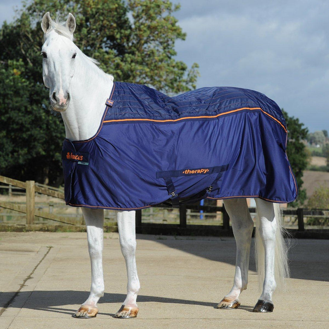 Bucas Therapy Cooler Rug - Horse - Navy/Orange - Equisafety