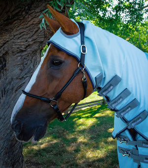 Equisafety bug buster fly rug with belly flap lavender