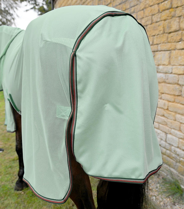 Equisafety bug buster fly rug with belly flap lavender
