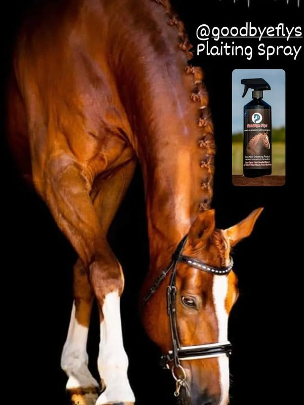 Equisafety champion junior x air plus riding hat blackslate