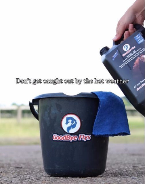 Equisafety champion junior x air plus riding hat blackslate
