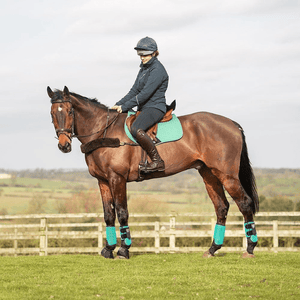 Equisafety champion junior x air plus riding hat blackslate