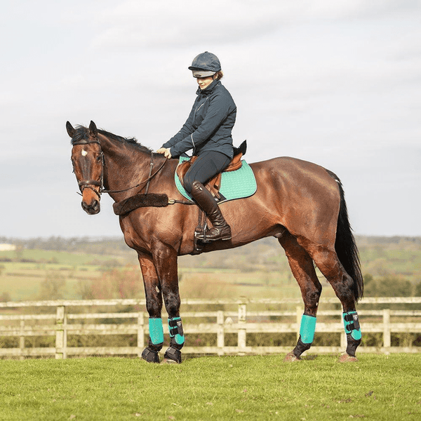 Equisafety champion junior x air plus riding hat blackslate