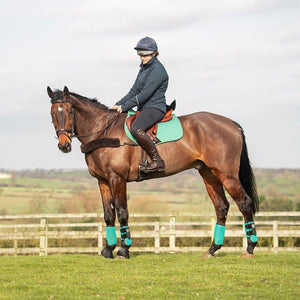 Champion Junior X - Air Plus - Riding Hat - Silver - Equisafety
