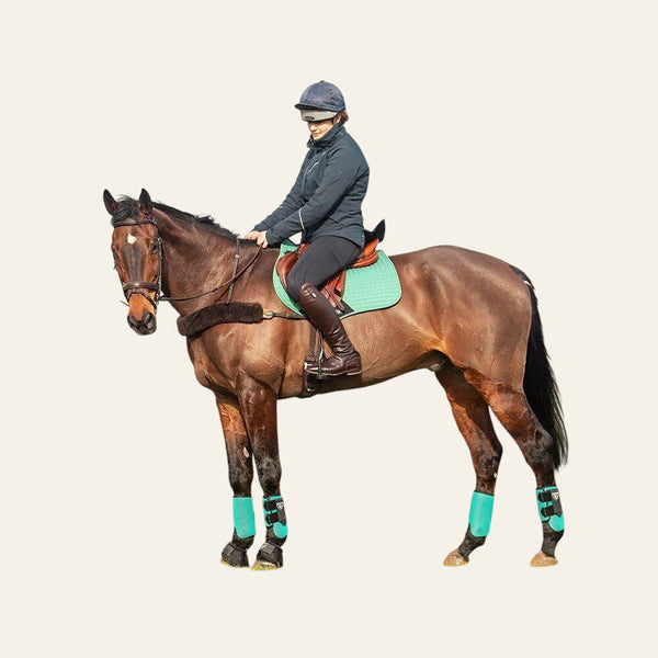 Champion Junior X - Air Plus - Silver - Equisafety