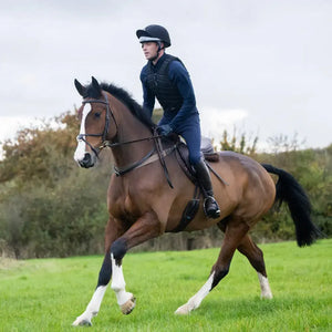 Champion Titanium Ti22 Adults Body Protector - Black - Equisafety