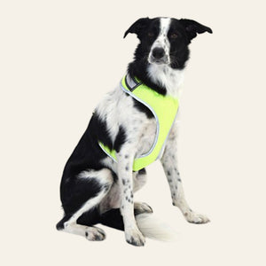 Equisafety child reflective riding quilted gilet hi vis orange